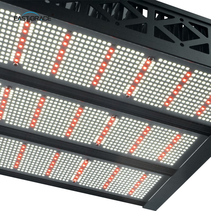 LED 23 LED 23