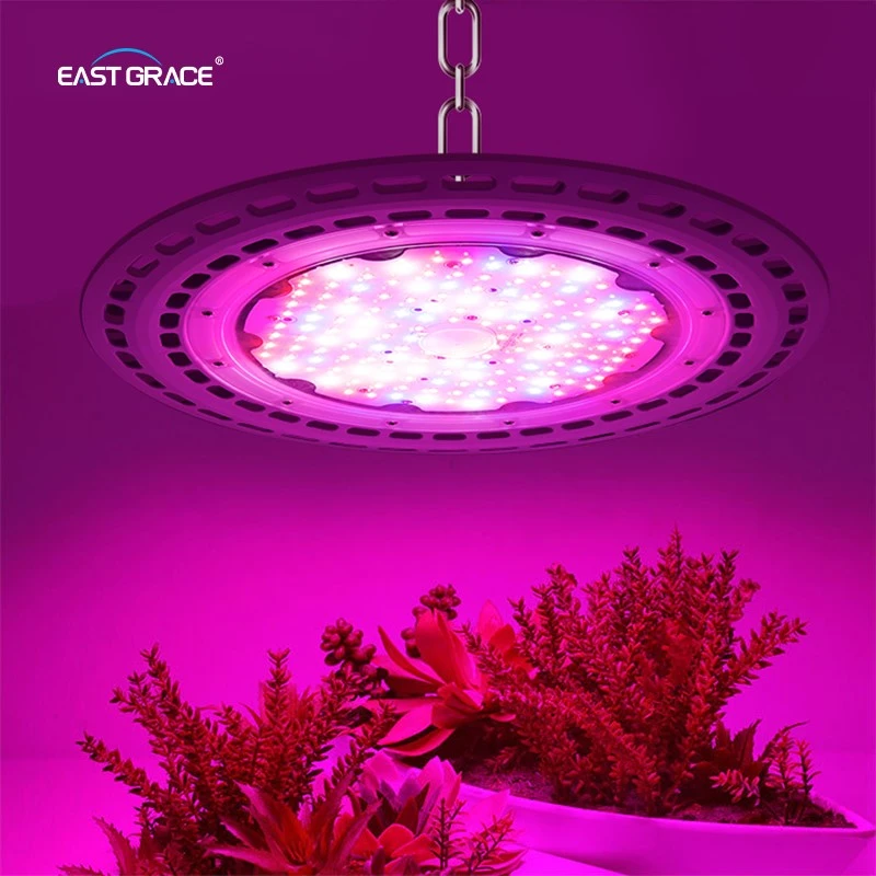 product-800-800