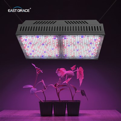 1200W Top1930E LED Grow valgusti