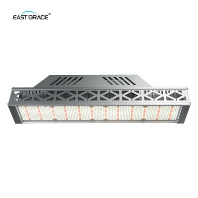240 W pealtvalgustusega LED Grow valgusti