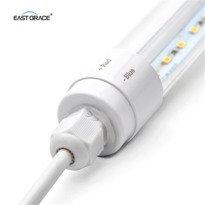 DC12V T8 DC veekindel LED -toru tuli