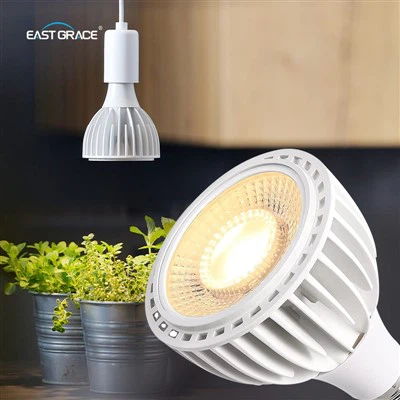 Täielik spektri par LED kasvab valgust