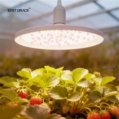 UFO LED Grow Lambipirn D Toataimedele