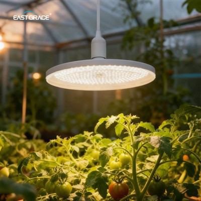 UFO LED kasvupirn D